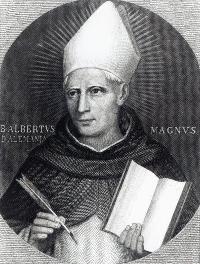 St Albertus Magnus by English School